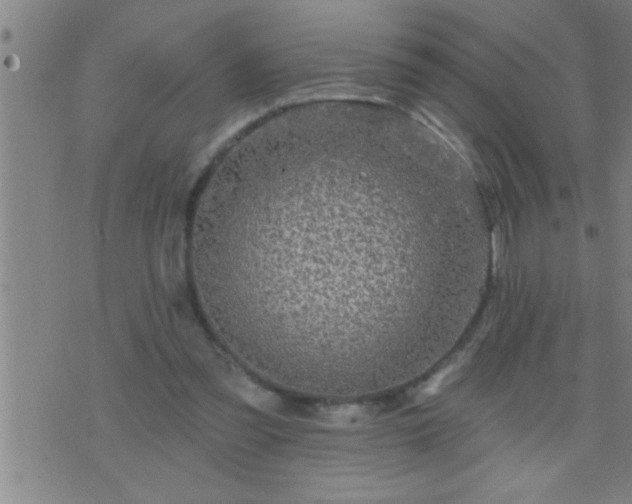 X0000075900301200609221943