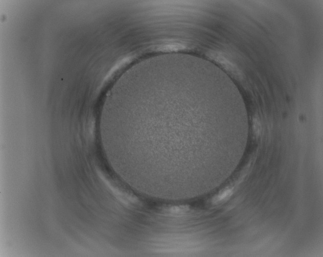 X0000075900304200609221943