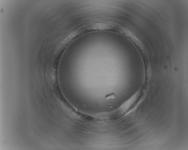 X0000075900305200609221943