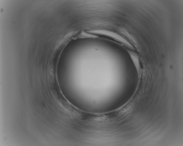 X0000075900306200609221943