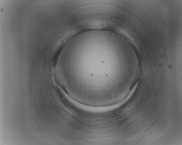 X0000075900307200609221943