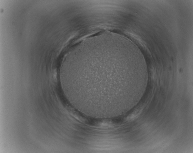 X0000075900308200609221943