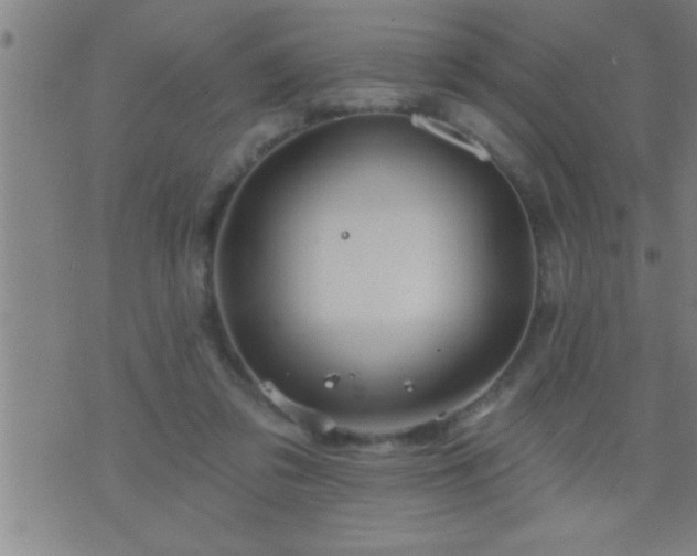 X0000075900309200609221943