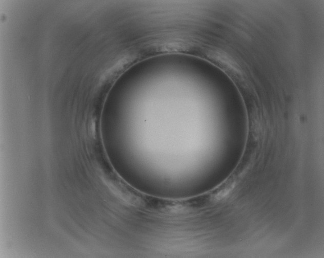 X0000075900310200609221943