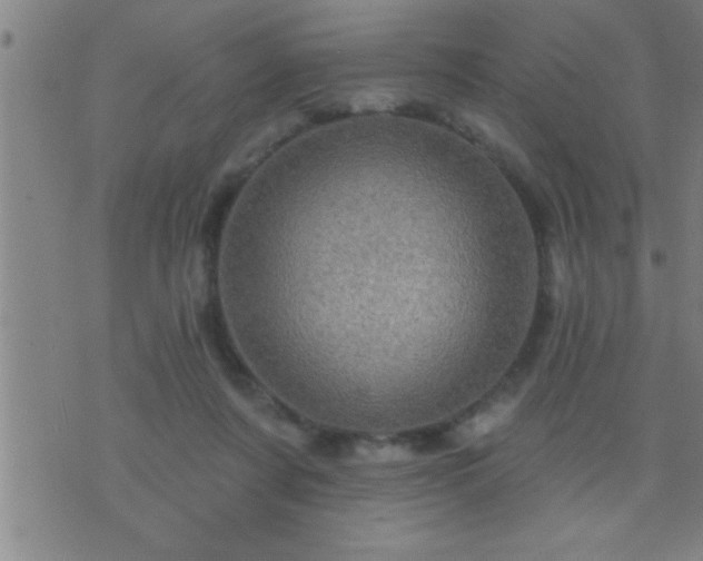 X0000075900311200609221943