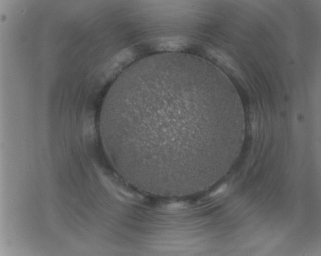 X0000075900312200609221943