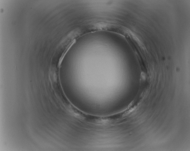 X0000075900313200609221943