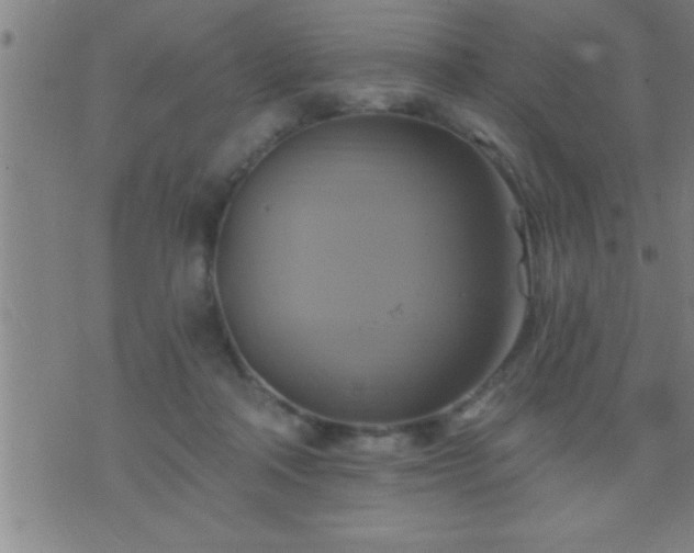 X0000075900314200609221943