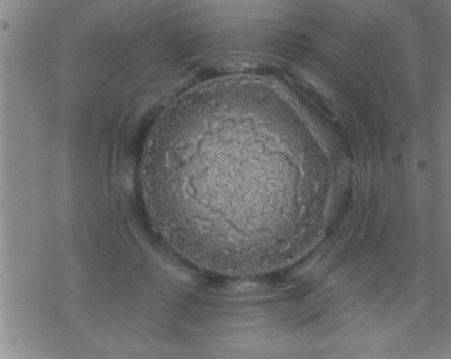 X0000075900315200609221943