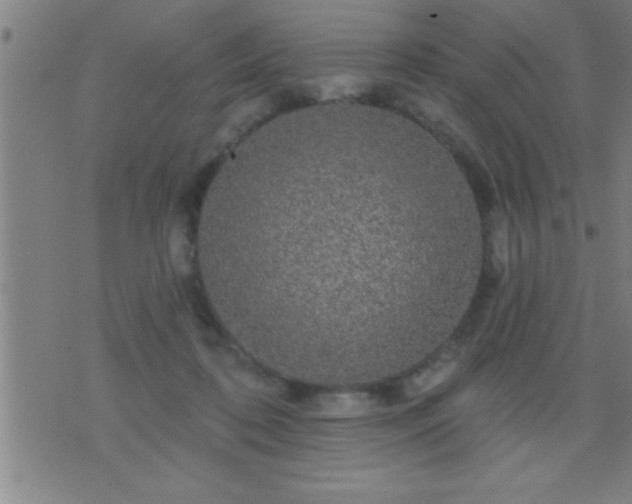 X0000075900316200609221943