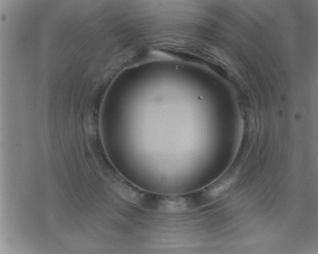 X0000075900317200609221943