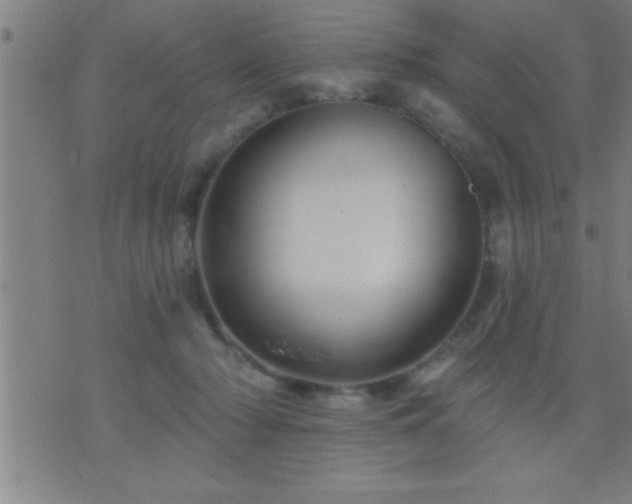 X0000075900318200609221943