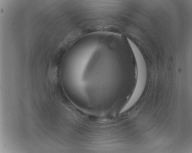 X0000075900319200609221943