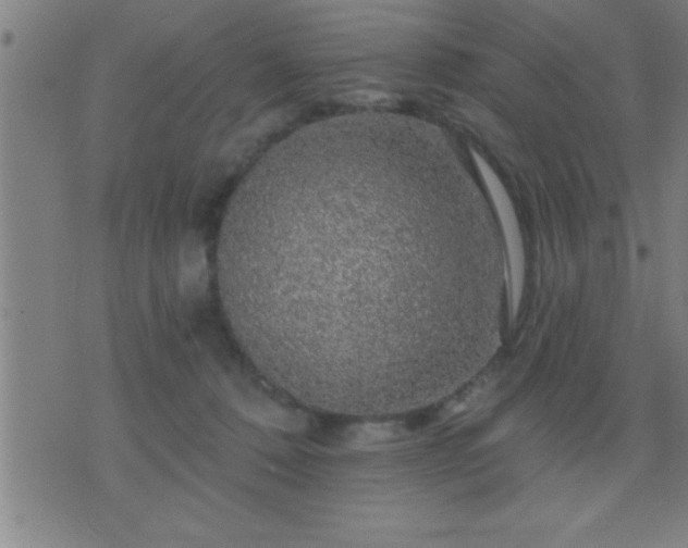 X0000075900320200609221943