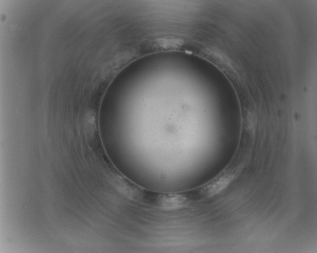 X0000075900321200609221943