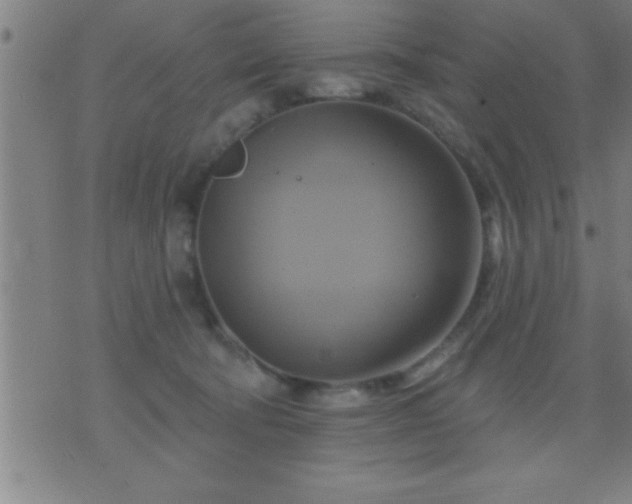 X0000075900322200609221943