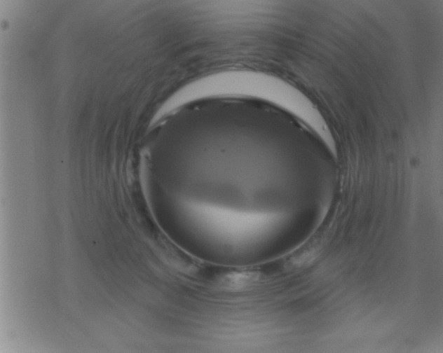 X0000075900323200609221943