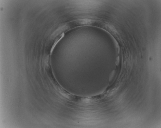 X0000075900325200609221943