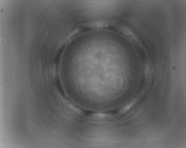 X0000075900326200609221943