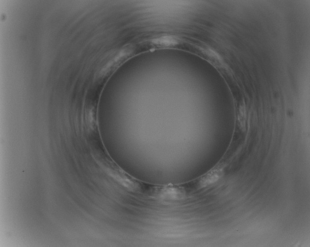 X0000075900330200609221943