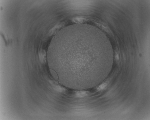 X0000075900332200609221943