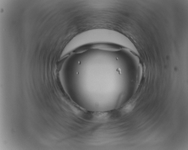 X0000075900334200609221943