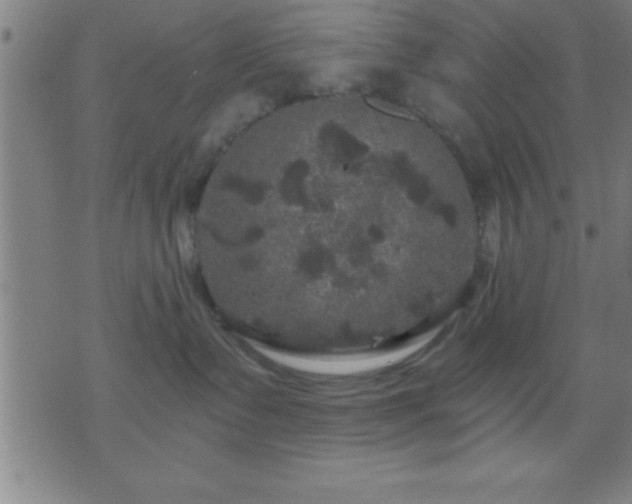 X0000075900335200609221943