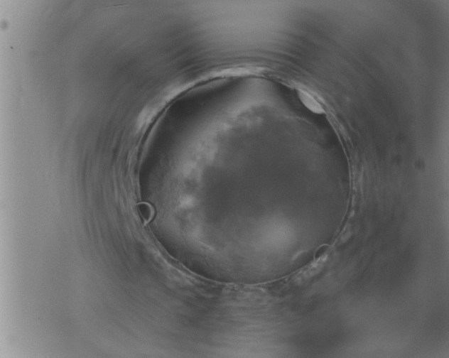 X0000075900337200609221942