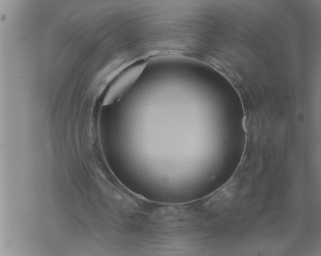 X0000075900338200609221942