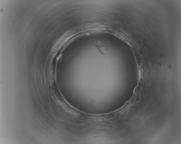 X0000075900339200609221942