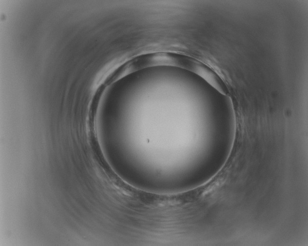 X0000075900340200609221942