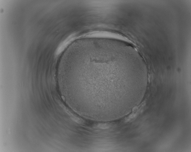 X0000075900341200609221942