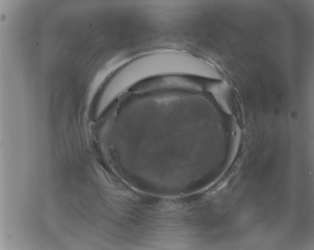 X0000075900343200609221942