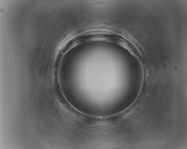 X0000075900344200609221942