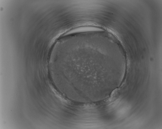 X0000075900345200609221942