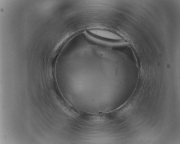 X0000075900347200609221942