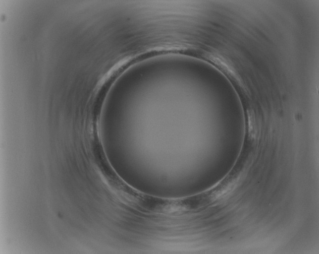 X0000075900348200609221942