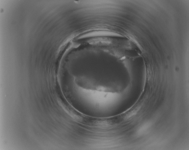 X0000075900349200609221942