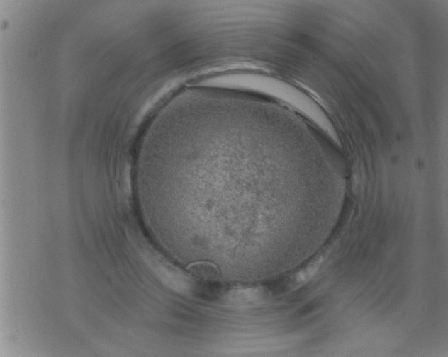 X0000075900350200609221942