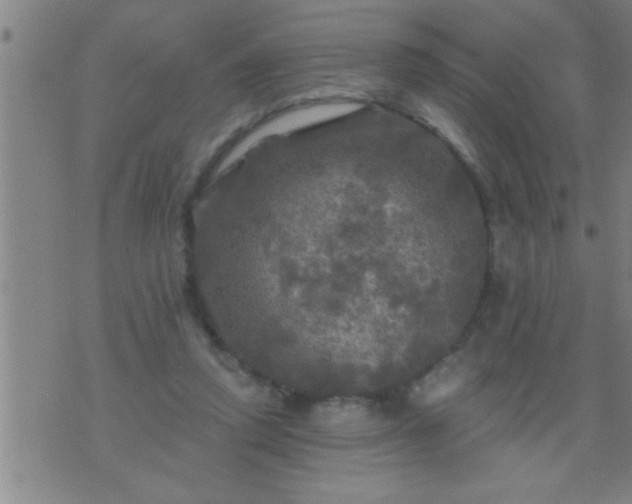 X0000075900354200609221942