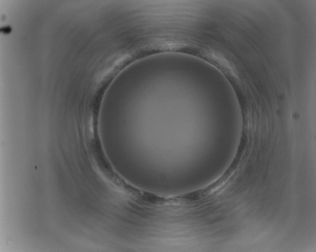 X0000075900358200609221942