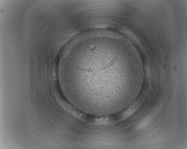 X0000075900362200609221942