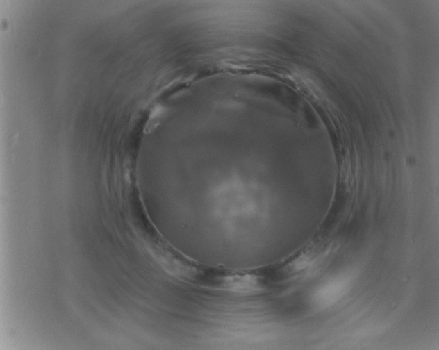 X0000075900363200609221942