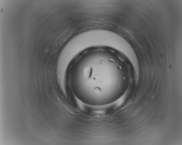 X0000075900364200609221942