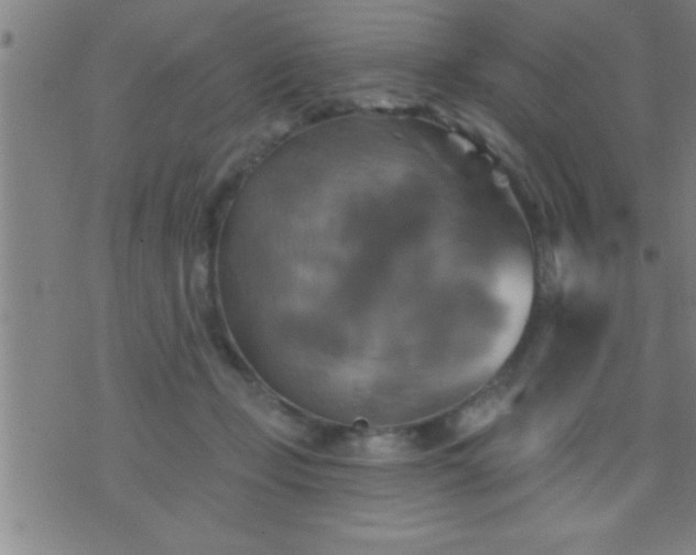 X0000075900365200609221942