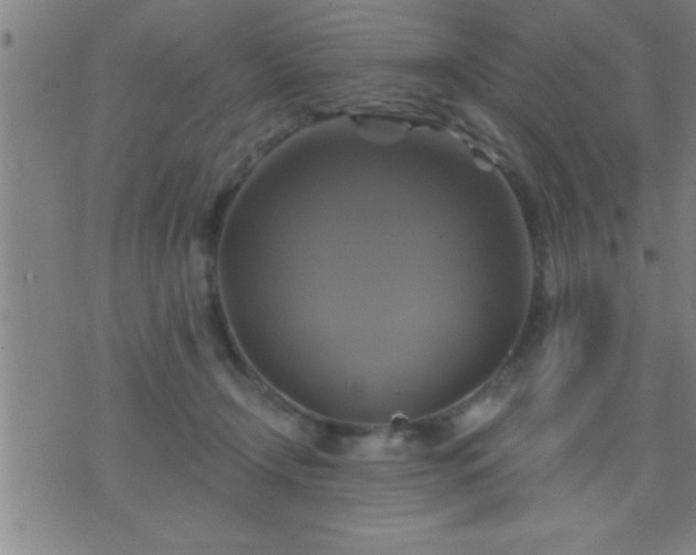 X0000075900366200609221942