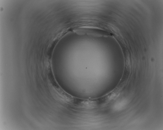 X0000075900367200609221942