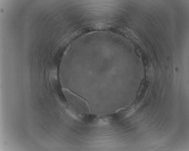 X0000075900368200609221942