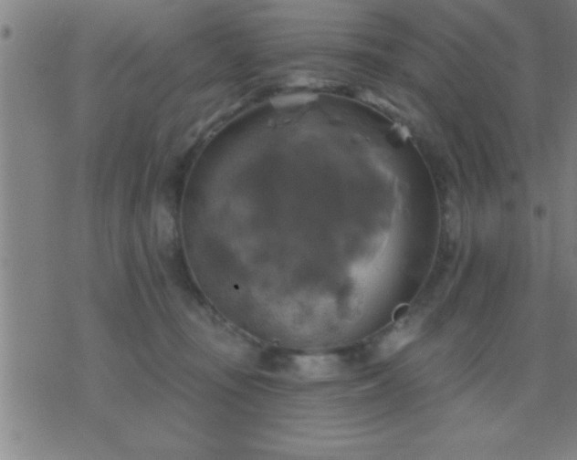 X0000075900371200609221942