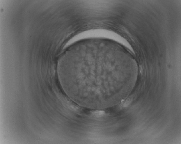 X0000075900374200609221943